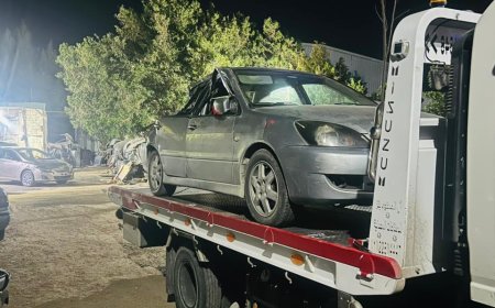 ونش انقاذ شربين 01003005228