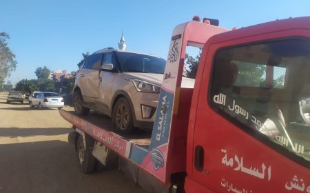 ونش انقاذ بلقاس 01003170883